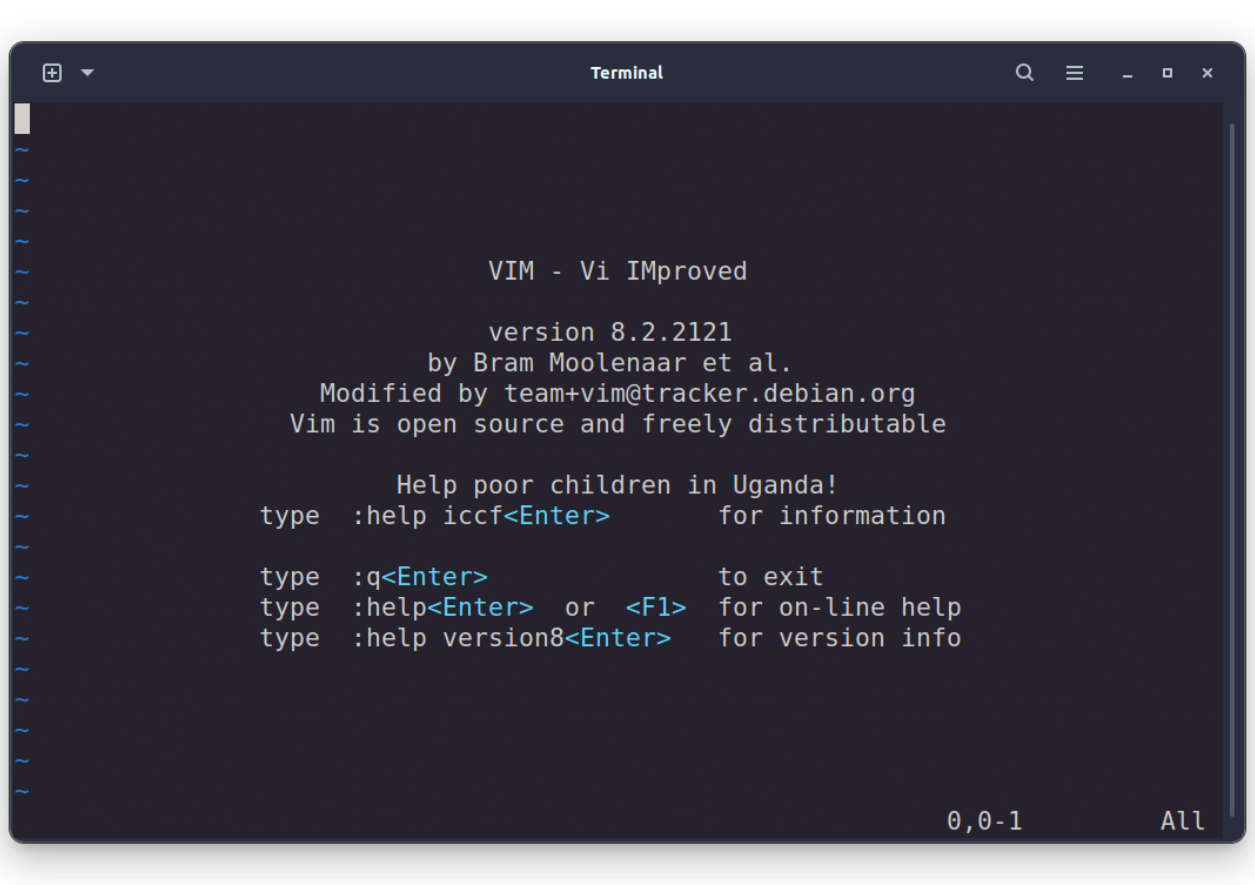 Vim editor interface